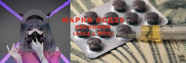 стаф Белокуриха