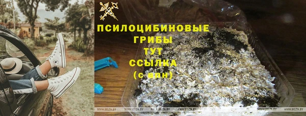 амф Баксан