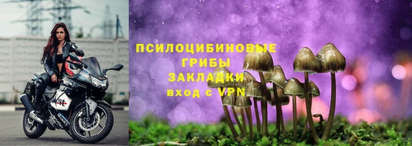 прущий лед Переславль-Залесский